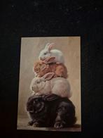 Postkaart konijnen, Verzamelen, Postkaarten | Dieren, Ophalen of Verzenden