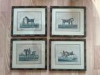 Met de hand ingekleurde lithografieën paarden 19de eeuw, Antiek en Kunst, Kunst | Litho's en Zeefdrukken, Ophalen