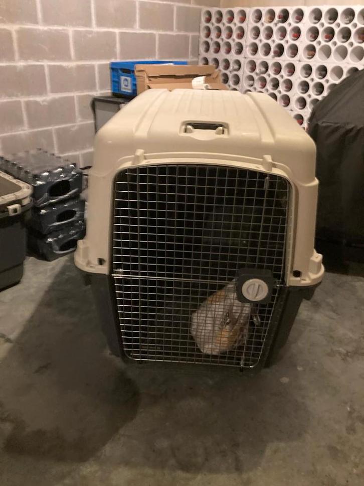 Cage de transport ultra-géante Maxpet JJ08 grands chiens, Animaux & Accessoires, Boîtes de transport, Comme neuf, Enlèvement