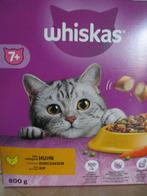 kattenbrokken, Enlèvement ou Envoi, Chat