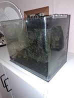Mini aquarium 20L nano met filter en verwarming, Dieren en Toebehoren, Vissen | Aquaria en Toebehoren, Ophalen