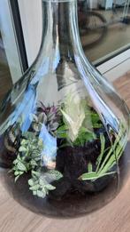 Glazen flessen / vazen. Voor hobby brouwers of decoratief, p, Ophalen