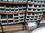 VEEL KOPEREN PARTIJ MONDSTUK LOT ROESTVRIJ STAAL ALUMINIUM P, Ophalen, Zo goed als nieuw, Koper of Messing