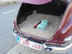 volvo pv 444 1953, kleur rood,perfekte staat-uniek model--, 4 zetels, Achterwielaandrijving, Overige modellen, 4 cilinders