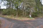 Bouwgrondstuk op een helling en bomenbestand, Mehren (12), Immo, Buitenland, Recreatiepark, Duitsland, Kavel of Perceel