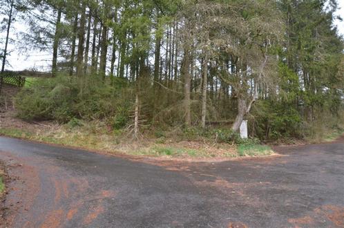 Bouwgrondstuk op een helling en bomenbestand, Mehren (12), Immo, Buitenland, Duitsland, Kavel of Perceel, Recreatiepark