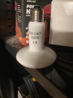 Donkerstraler warmtelamp 100 w, Ophalen, Zo goed als nieuw