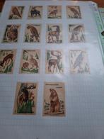 Luciferetiketten chechoslovakije  10, Verzamelen, Ophalen of Verzenden