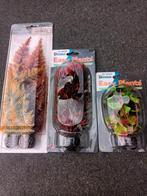 Plantjes voor een aquarium decoratief, Dieren en Toebehoren, Ophalen of Verzenden, Nieuw, Plant(en), Steen of Hout
