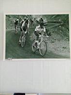 wielrenners, cyclistes, oude persfoto Tom Simpson, Comme neuf, Autres types, Enlèvement