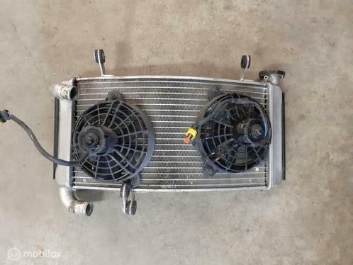 Radiateur origineel carbon kapjes Monster S4r S4 ventilators, Motoren, Onderdelen | Ducati, Gebruikt, Ophalen of Verzenden