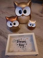 Boîte à tirelire, Enlèvement ou Envoi