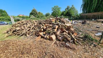 set van gezaagd hout te koop beschikbaar voor biedingen