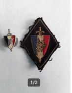 insigne france vichy ww2, Embleem of Badge, Ophalen of Verzenden, Landmacht