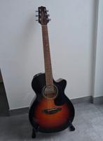 Elektrische akoestische gitaar, Enlèvement