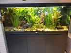 Aqualantis aquarium 450 ltr met toebehoren, Ophalen of Verzenden, Zo goed als nieuw