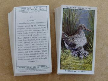 Birds & Their Young 2nd series complete set 25 chromos 1955  beschikbaar voor biedingen