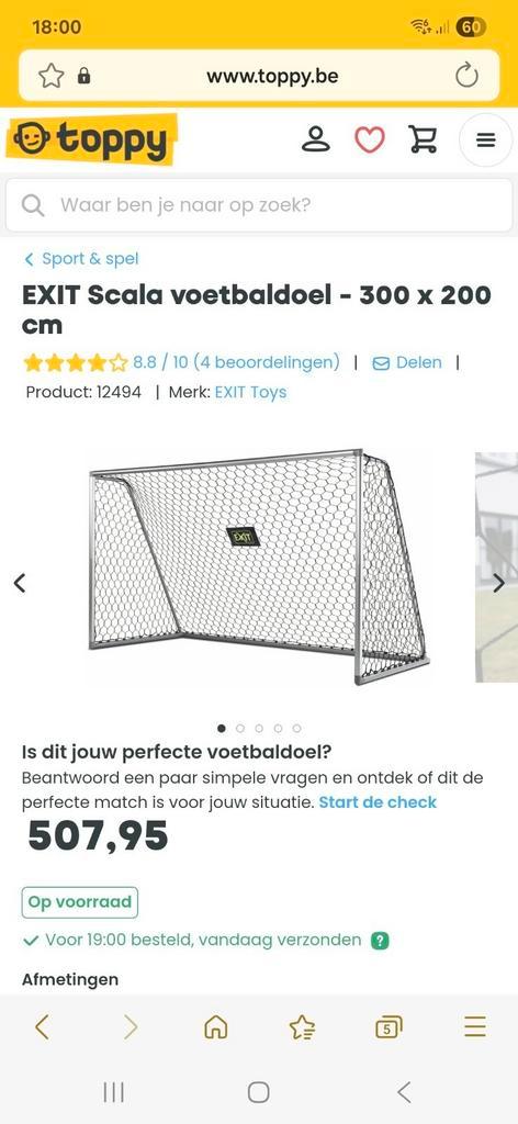 Voetbaldoel Exit 200cm x 300 cm, Sport en Fitness, Voetbal, Zo goed als nieuw, Ophalen