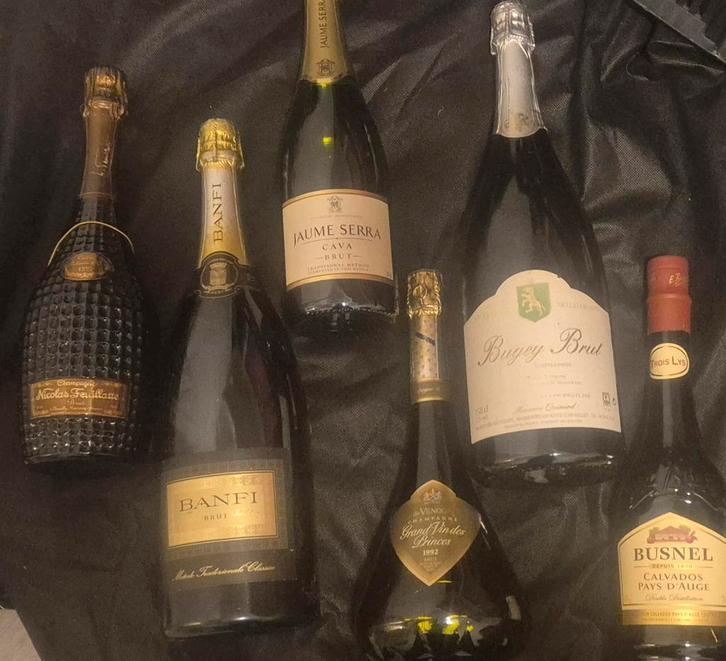 Champagne & Cava 6 stuks, Verzamelen, Wijnen, Nieuw, Champagne, Ophalen