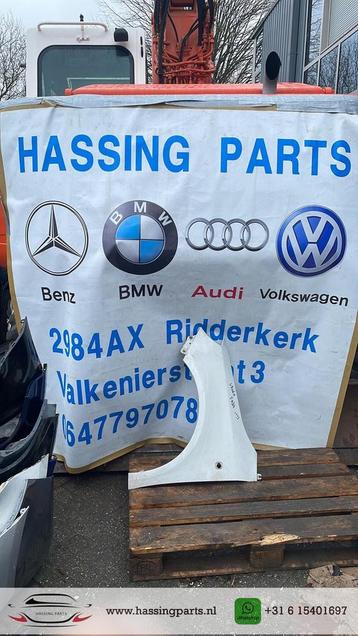 Skoda Fabia  SCHERM rechts beschikbaar voor biedingen