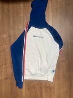 Champion trui, Kleding | Heren, Truien en Vesten, Ophalen of Verzenden, Zo goed als nieuw, Maat 46 (S) of kleiner