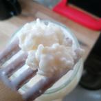 Kéfir bloemetjes, Diversen, Levensmiddelen, Ophalen
