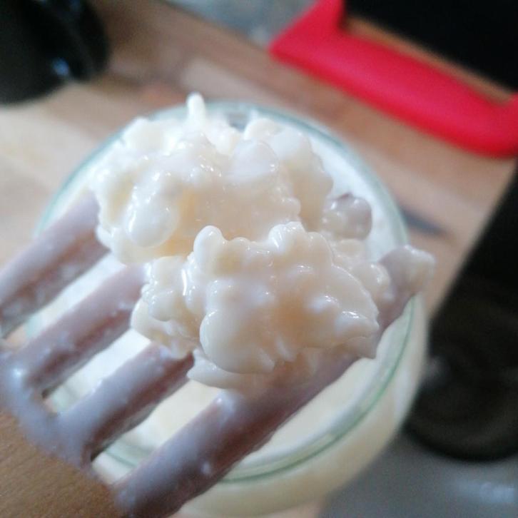 Kéfir bloemetjes, Diversen, Levensmiddelen, Ophalen