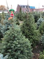 Nog verschillende mooie kerstbomen, Enlèvement ou Envoi