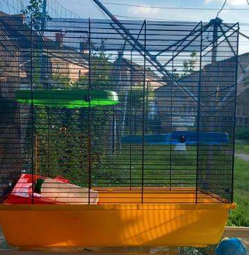 Cage à rongeur, Hamster, Enlèvement ou Envoi, Moins de 60 cm, Cage