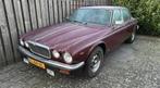Jaguar XJ6 4.2 6 cilinder benzine 1980 * NL AUTO *, Automaat, 4 deurs, Beige, 5 zetels