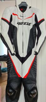 dames racepak dainese, Dainese, Combipak, Ophalen of Verzenden, Dames
