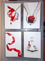 Twilight Saga, Ophalen of Verzenden, Zo goed als nieuw, Stephenie Meyer