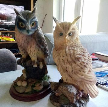 Uilenbeelden beschikbaar voor biedingen