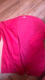 Truitje roze, Kleding | Dames, Truien en Vesten, Ophalen of Verzenden, Gedragen, Roze
