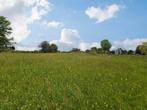 Terrain à vendre à Tenneville, 500 tot 1000 m²