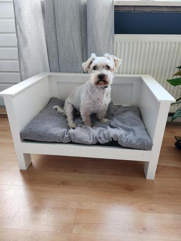 Hondenmand  beschikbaar voor biedingen