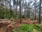 Vellen van bomen - bosexploitatie - ruimen bos - gronden, 6 m³ of meer, Ophalen, Overige houtsoorten, Stammen