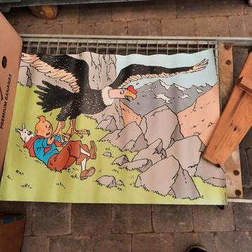 Kuifje ( poster ) 50 x 70 . 20 euro .  beschikbaar voor biedingen