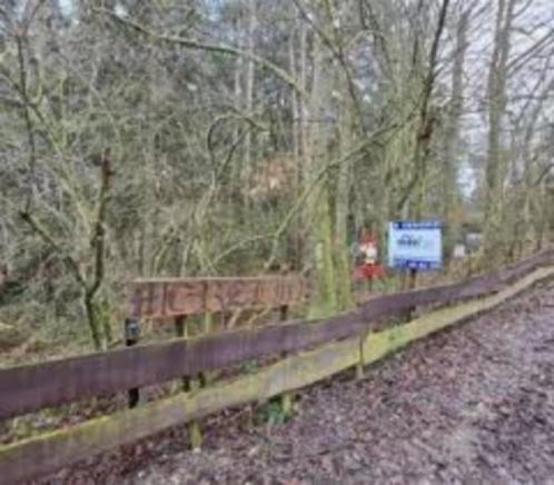 vend terrain de loisir sur Durbuy, Immo, Gronden en Bouwgronden, 200 tot 500 m²