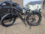 RadRhino 6 Plus, Fietsen en Brommers, Fietsen | Heren | Herenfietsen, Ophalen, Gebruikt, Overige merken, Versnellingen
