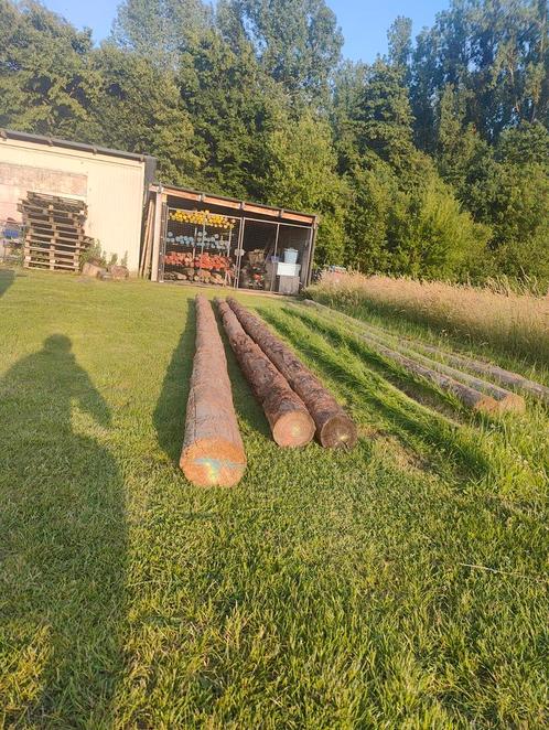 25€/st Houten palen/balken 7 meter lang, Doe-het-zelf en Bouw, Hout en Planken, Zo goed als nieuw, Ophalen