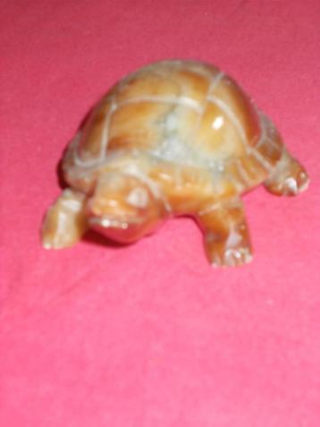 Mooie stenen schildpad beschikbaar voor biedingen