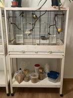 Vogelkooien Ferplast Giulietta 6, Dieren en Toebehoren, Vogels | Hokken en Kooien, Ophalen, Gebruikt, Hout, Vogelkooi
