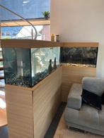 Zeer mooie aquaria  en alle toebehoren, Dieren en Toebehoren, Vissen | Aquaria en Toebehoren, Ophalen, Zo goed als nieuw