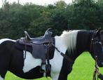 Westernzadel fq, Animaux & Accessoires, Chevaux & Poneys | Selles, Enlèvement ou Envoi