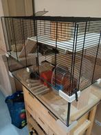 Hamster kooi met glazen onderbak, verschillende accessoires., Dieren en Toebehoren, Ophalen, Kooi, Hamster