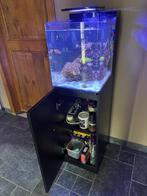 Aquarium 60 L - Blue Marine, Ophalen, Gebruikt, Leeg aquarium