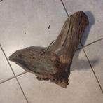 Hout voor aquarium, Dieren en Toebehoren, Ophalen, Zo goed als nieuw
