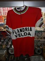 Flandria velda koerstrui, Enlèvement ou Envoi