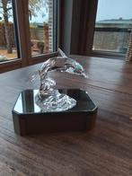 Dolfijn, Verzamelen, Ophalen